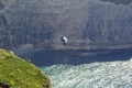 falaise Etretat